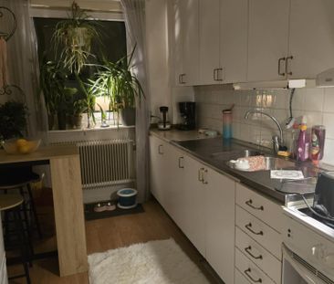 Hörle Björkelund - Foto 5