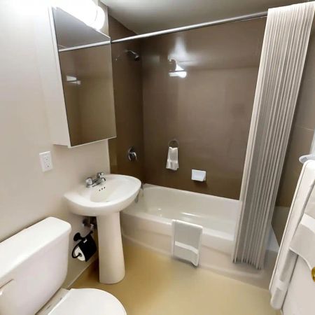 240 Wellesley Street Residences — Junior 1 Bedroom - Photo 4