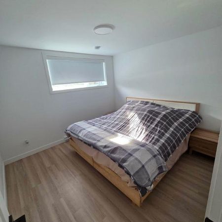 Grand 4½ Neuf 2024 – Demi Sous-sol – Parking – Balcon – Walk-in - Photo 3