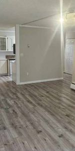 Newly Renovated 1-Bedroom Apartment Centrally Located in Abbotsford - Photo 4