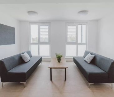 Premium Single Shared Facilities - Photo 1