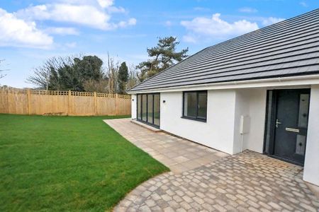 3 bedroom detached bungalow to rent - Photo 4