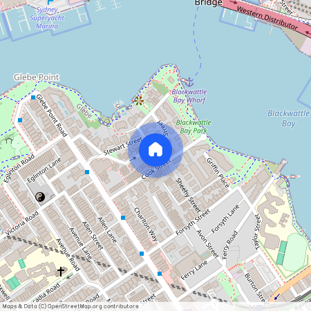 4/10 Leichhardt Street, Glebe NSW 2037