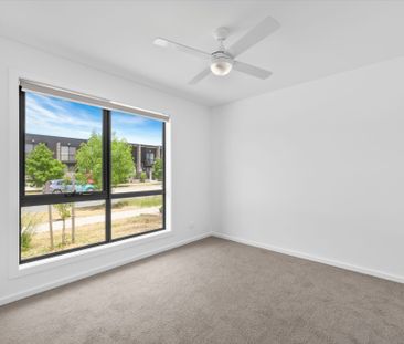19 Ancher Street, Taylor ACT 2913 - House For Rent | Domain - Photo 4