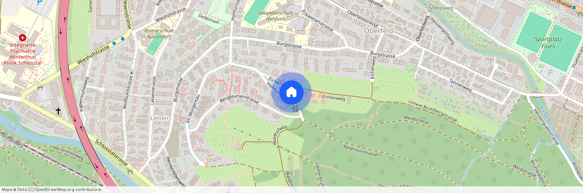 Hohfurristrasse 91, 8408, Winterthur