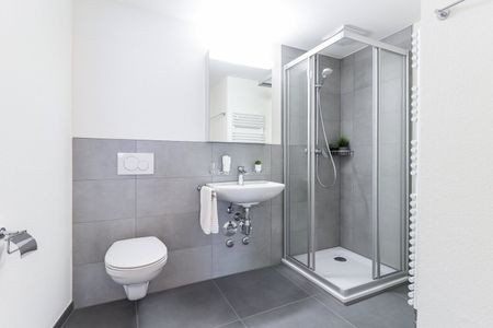 Schöne 2.5 Zimmer-Wohnung am Musical Theater - Foto 3