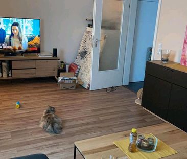 Siedlungshaus in Ludwigshafen Niederfeld zu vermieten 3ZKB 78m2 - Foto 1