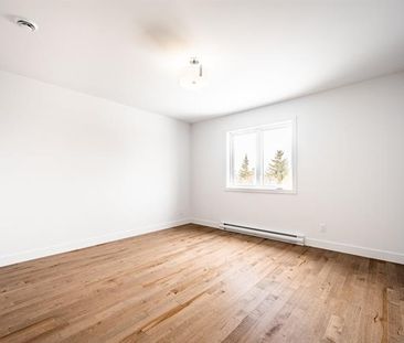 1683 Rue Holmes - Photo 1