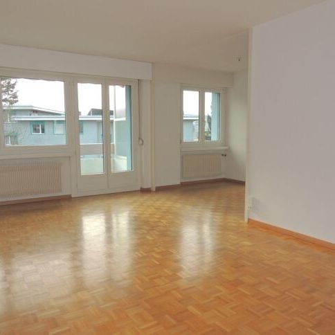 LOUER SANS DÉPÔT - Votre nouvel appartement dans un endroit paisible et rural - Foto 1