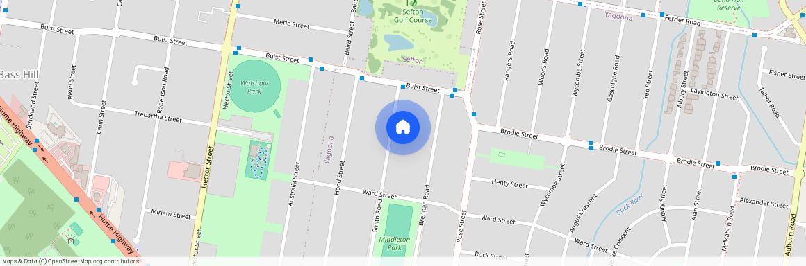 17 Smith Rd, NSW 2199, Yagoona