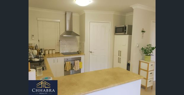 Peaceful Family Living in Caladenia Primary Catchment - Photo 1