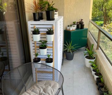 Woolloomooloo - Photo 6