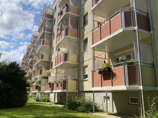 Alles wird neu - tolle 3-Raumwohnung in grüner Lage - Photo 1