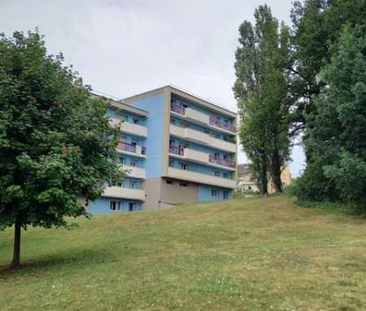 Location : Appartement 3 pièces 61 m2 – BELFORT - Photo 3