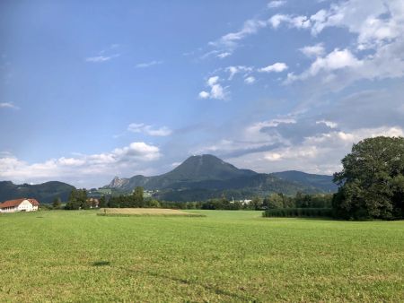 SONNIGE 2-ZIMMER-TERRASSENWOHNUNG - Photo 5