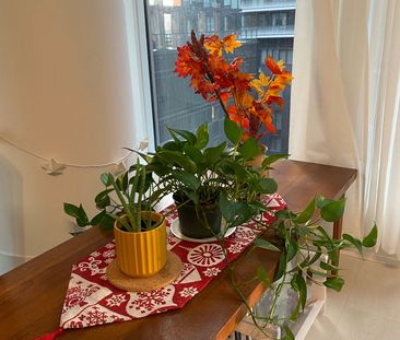For Lease - 15 Mercer Street Unit# 711 (Master Bedroom), Toronto, O... - Photo 6