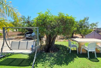 WIDE ESTATE FOR RENT IN TEULADA FOR LONG TERM