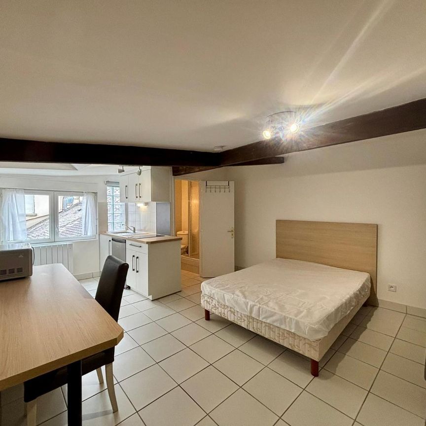 Location Appartement 1 pièce 20m² ANGERS 49100 - Photo 1