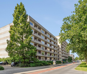 Te huur: Appartement Rosenburch 32 in Leiden - Photo 3