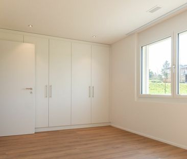 2.5 Zimmer, EG - Photo 1