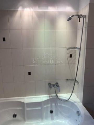 Large and Comfortable Two Bedroom Flat with Large Terrace - Piata Victoriei - Photo 3