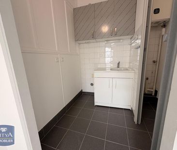 Location Appartement 1 pièce 22m² FLEURIEU SUR SAONE 69250 - Photo 3