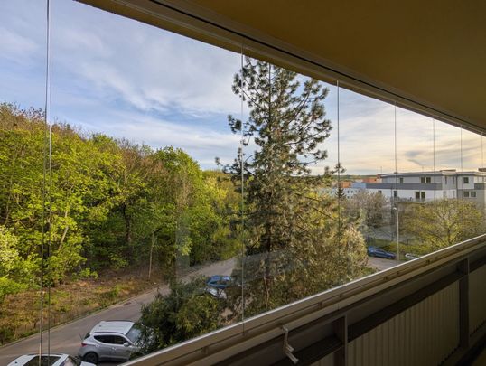Pronájem bytu • 43 m² bez realitkyBrdlíkova, Praha - Motol - Photo 1