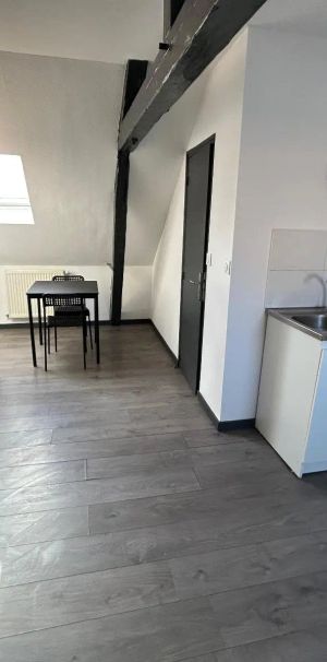 Appartement à louer 1 pièce 20m² - Photo 1