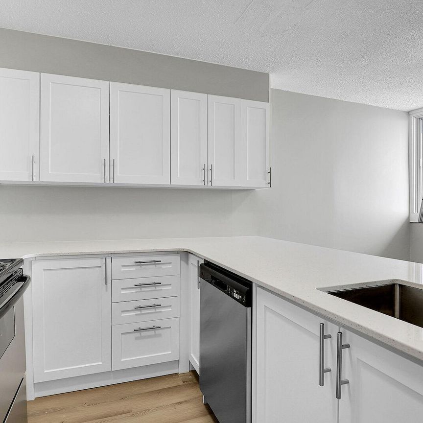 2935 Richmond Road, Ottawa, ON - Photo 1
