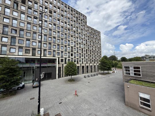 Elizabeth Cady Stantonplein 301 - Photo 1