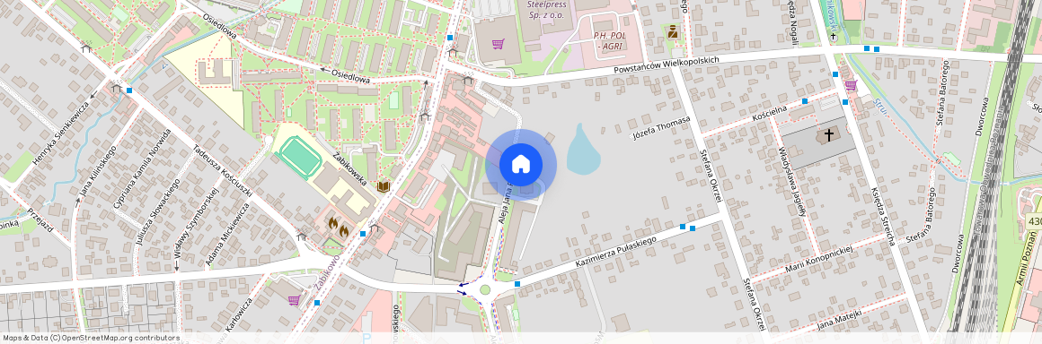 al. Aleja Jana Pawła II, Luboń, poznański, wielkopolskie