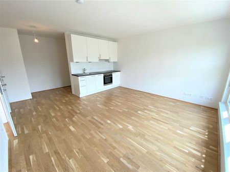 Helle 2 Zimmer Wohnung mit Balkon mit Blick Richtung Kahlenberg in 1210 Wien zu mieten - Photo 4