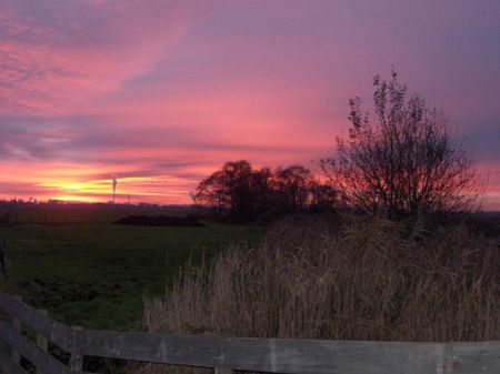 Overleek 25A-Het Schapenhok - Photo 5