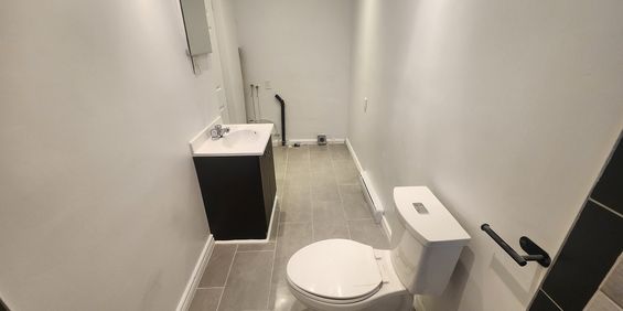 5 1/2 SUD-OUEST, Métro Monk/Jolicoeur - Photo 3