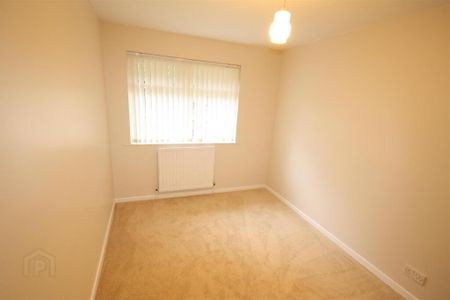 8 Red Row, Ballynahinch, BT24 8BQ - Photo 3