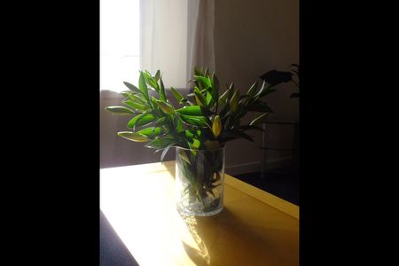 1 Bed Flat, John Knox Court, AB24 - Photo 2