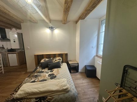 Location appartement 1 pièce, 28.96m², Chalonnes-sur-Loire - Photo 2