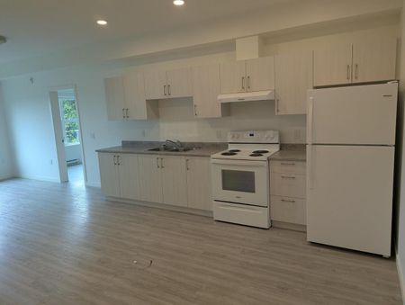 364 Moilliet Street South apartment — Parksville, BC (1-Bedroom) - 1 Bedroom - Photo 4