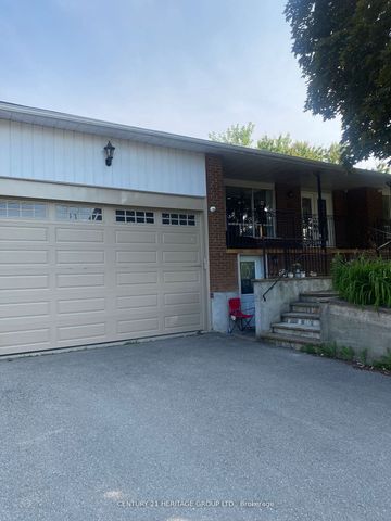 Detached Home For Lease | N8136930 - Photo 5