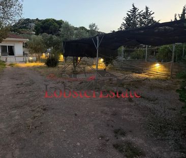 Μονοκατοικία για ενοικίαση Κίτσι (Κορωπί) - Φωτογραφία 5