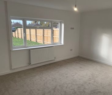 The Cottons - Photo 2