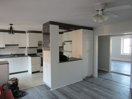 Superbe grand 5 1/2 sur 2 étage, Terrasse privée, Vieux-Port - Photo 4