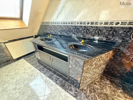 Pronájem bytu atypického 256 m² - Photo 4