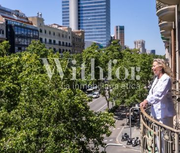 The Dean - Photo 6