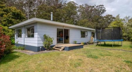 3 Bedroom newly renovated home in central Kerikeri - Photo 3