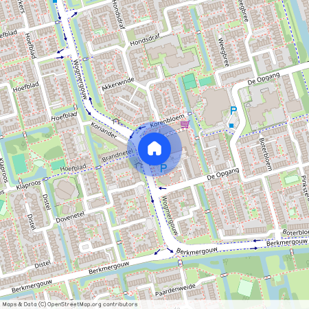 Risdam-Noord - Buurt 21 03, 1689 PZ, Sleutelbloem, Zwaag