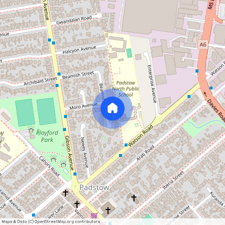 41A Beamish Street, NSW 2211, Padstow