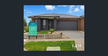 Hidden Gem - Photo 4