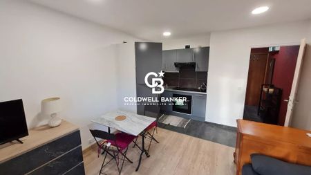 Location Appartement 1 pièce 23m² GAILLARD 74240 - Photo 4