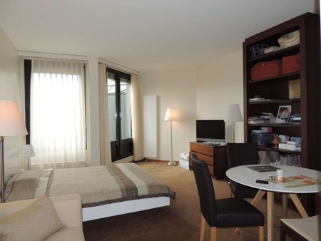 Appartement meublé 1 pièce | Centre Ville - Photo 3